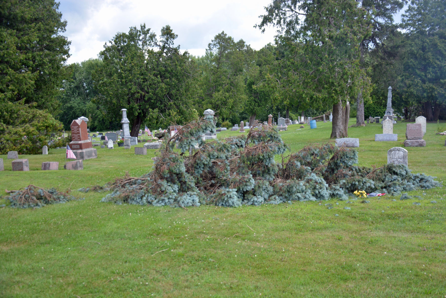 DSC_1615.jpg